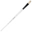 Daler Rowney Graduate Brush Long Handle Bristle Filbert 8x14mm - Al Masam Stationery LLC
