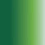 Daler Rowney System 3D Acrylic Color Paint - 225ml, Sap Green - Al Masam Stationery LLC -  - 