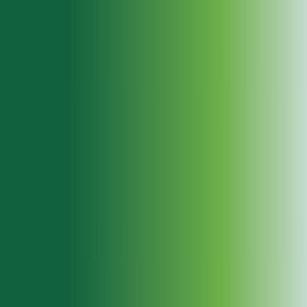 Daler Rowney System 3D Acrylic Color Paint - 225ml, Sap Green - Al Masam Stationery LLC -  - 