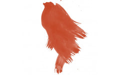 Daler-Rowney FW Ink 29.5ml Fluorescent ORANGE - Al Masam Stationery LLC