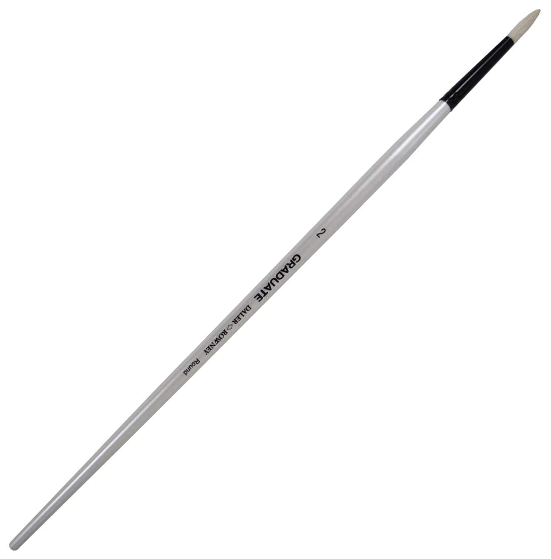 Daler Rowney Graduate Brush Long Handle Bristle Round 2x4mm - Al Masam Stationery LLC