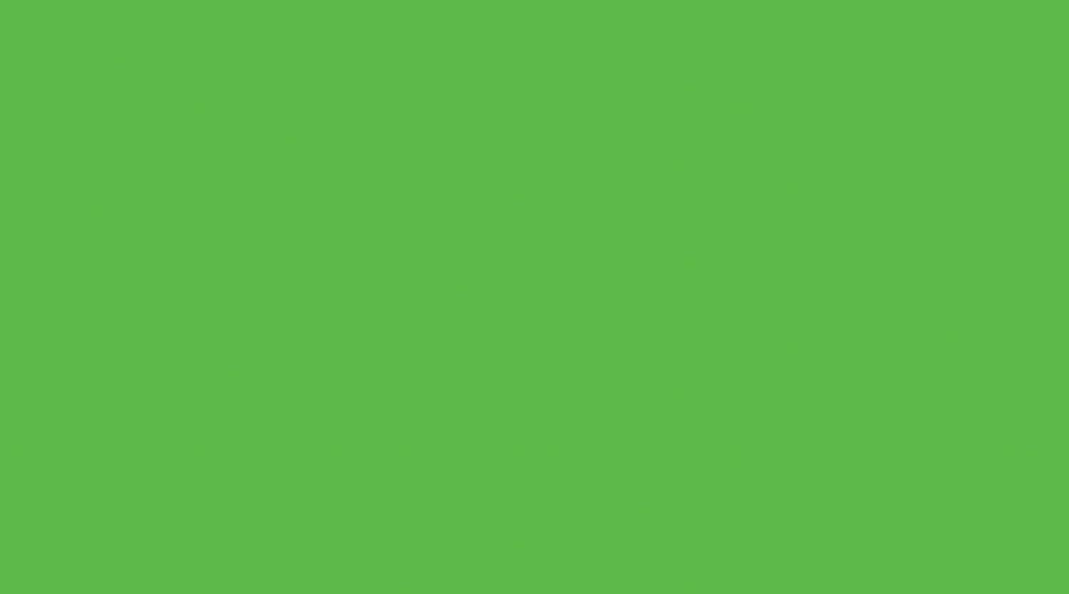 DC Fix 346-0505 Plain Gloss 45cmx2m Lght Green - Al Masam Stationery LLC Main image