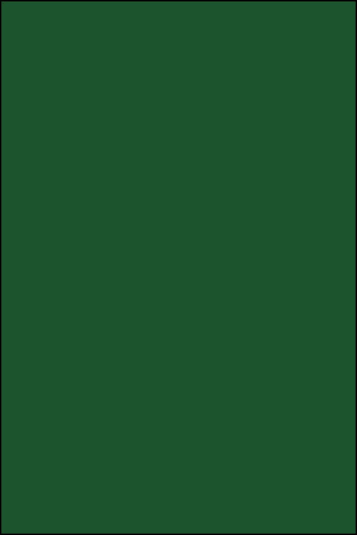 DC Fix 346-0003 Adhesive Cover Plain Mat 45cmx2m Hunter Green - Al Masam Stationery LLC