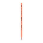 Deli Colored Pencil Paper Tube 12C - Al Masam Stationery LLC