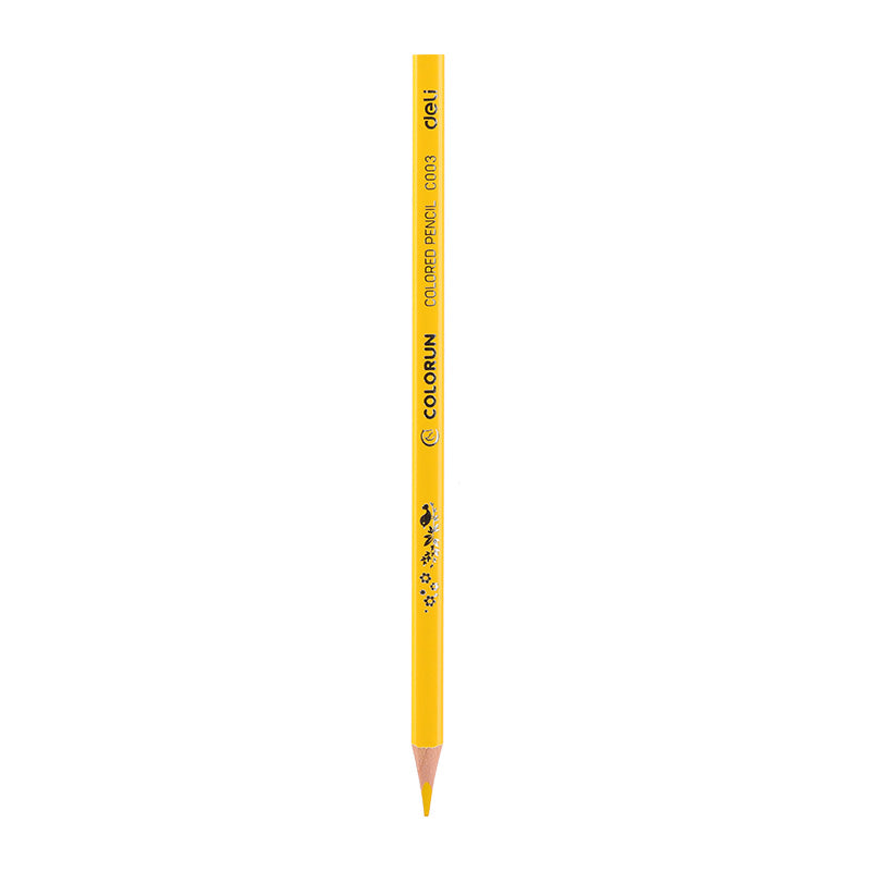 Deli Colored Pencil Paper Tube 12C - Al Masam Stationery LLC