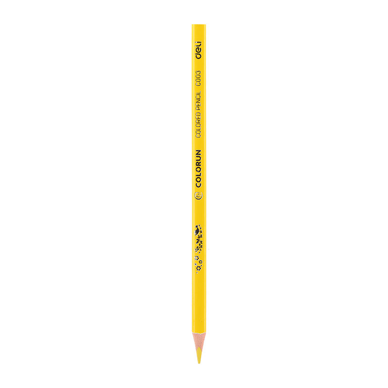 Deli Colored Pencil Paper Tube 24C - Al Masam Stationery LLC