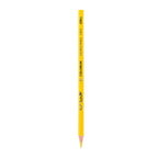 Deli Colored Pencil Paper Tube 24C - Al Masam Stationery LLC