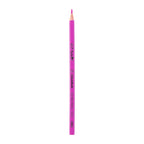 Deli Colored Pencil Paper Tube 24C - Al Masam Stationery LLC