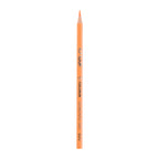 Deli Colored Pencil Tin Tube 12C - Al Masam Stationery LLC