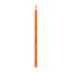Deli Colored Pencil Tin Tube 12C - Al Masam Stationery LLC