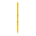 Deli Colored Pencil Tin Tube 12C - Al Masam Stationery LLC