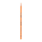 Deli Colored Pencil Tin Tube 36C - Al Masam Stationery LLC