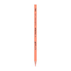 Deli Colored Pencil Tin Tube 36C - Al Masam Stationery LLC