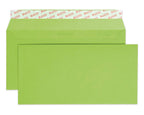 Elco Color C5/6 Envelope intense green without window, adhesive closure - Al Masam Stationery LLC