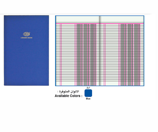 Ledger T/C 7/3 2Q(FIS) Secondary image
