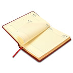 FIS Black A5 PU Gold-Edge 2026 Diary - FSDI19AEG26BK - Al Masam Stationery LLC