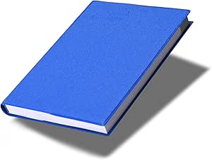 FIS Blue Pocket PVC 2026 2-Day Diary - FSDI09AE26BL Main image