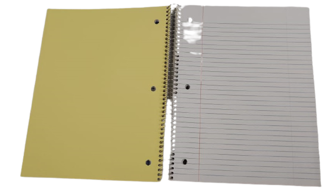 Enlivo 1 Subject Notebook Secondary image