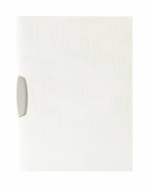 Foldermate IClip Swing Clip File A4 White Box of 24Pcs - Al Masam Stationery LLC Main image