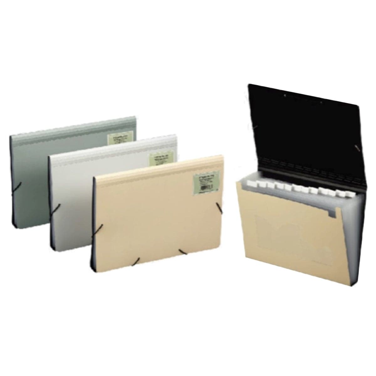 Foldermate Polymaster Expandng File A4 - Al Masam Stationery LLC Main image