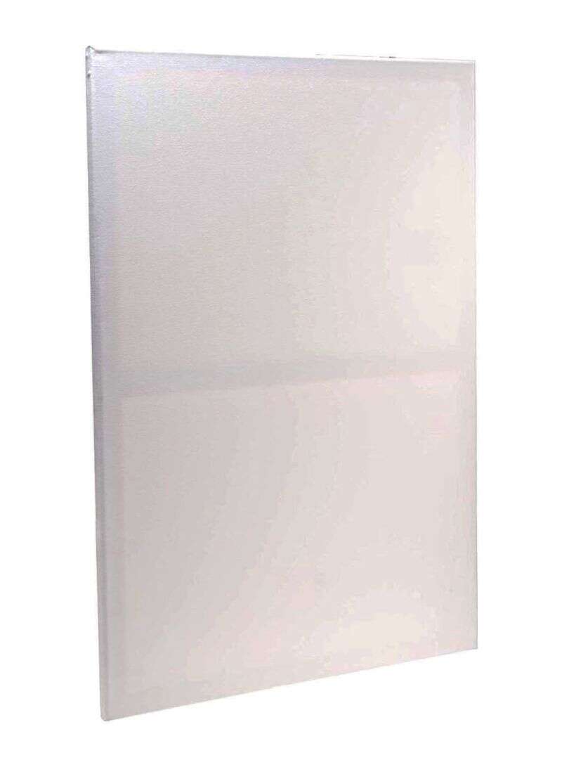 Funbo Stretched canvas 380 gms 30X60 cm Secondary image