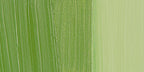 Holbein Artists Oil Colors Cinnabar Green  40Ml - Al Masam Stationery LLC