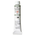 Holbein Artists Oil Colors Foundation Greenish 110Ml - Al Masam Stationery LLC