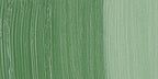 Holbein Artists Oil Colors Green Grey 40Ml - Al Masam Stationery LLC