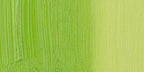 Holbein Artists Oil Colors Permanent Green Light 40Ml - Al Masam Stationery LLC