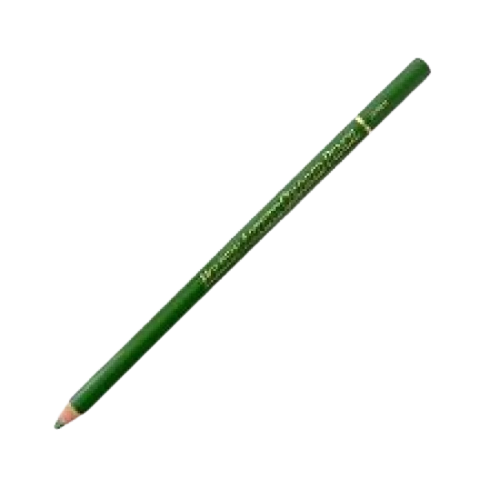 Holbein Colored Pencils Individual Sap Green - Al Masam Stationery LLC Main image