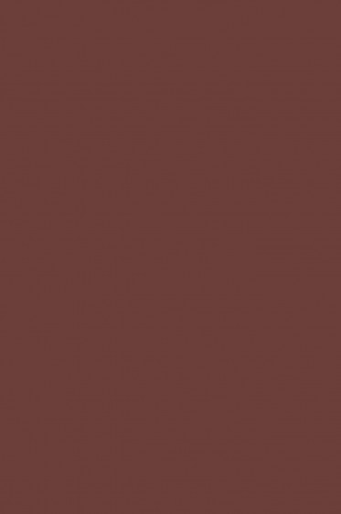 MARIE'S OIL COLOR RAW UMBER 170ML Secondary image