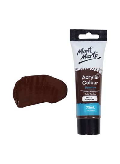 Acrylic Colour Paint Signature 75ml (2.5 US fl.oz) - Burnt Umber Secondary image