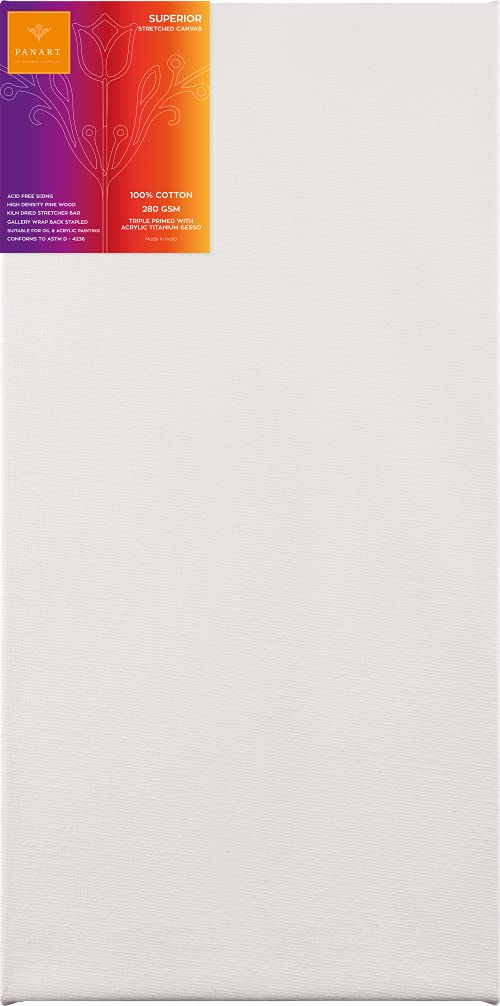 PANART CANVAS COTTON 30X60CM - Al Masam Stationery LLC Main image