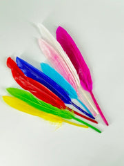 SBC Feather Asstd colr 10cm*10pc - Al Masam Stationery LLC