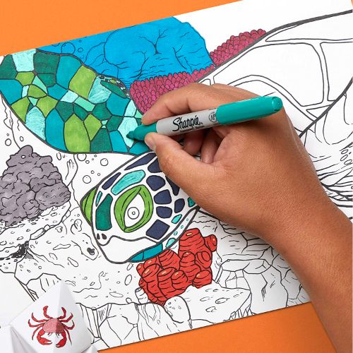 Sharpie Fine Point Permanent Marker Assorted 24 Pieces - (SP-1956292) - Al Masam Stationery LLC