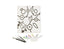 Sinoart Canvas Painting Set 30X30CM - Al Masam Stationery LLC