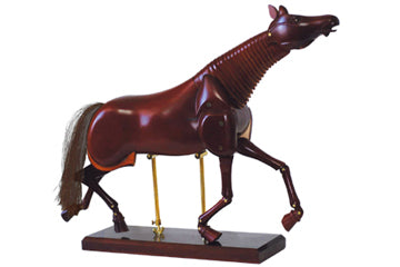 SINOART Horse mannequins SFM068/16” - Al Masam Stationery LLC Main image