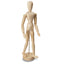 SINOART Human mannequins  SFM021, 16” Female - Al Masam Stationery LLC