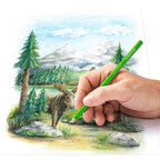 Staedtler 146C Coloured pencil permanent  Metal - (Pack of 24) - Al Masam Stationery LLC