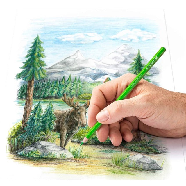 Staedtler 146C Coloured pencil permanent  Metal - (Pack of 24) - Al Masam Stationery LLC