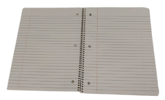 Enlivo 5 Subject Notebook
