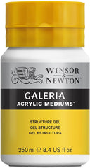 Winsor & Newton Galeria Acrylic Medium Structure Gel, 250ml - Al Masam Stationery LLC