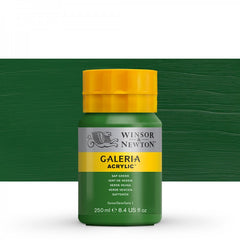 Winsor & Newton Galeria Acrylic 250ml - Sap Green - Al Masam Stationery LLC