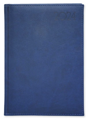 FIS Golden A5 Diary 2024 (English) Blue